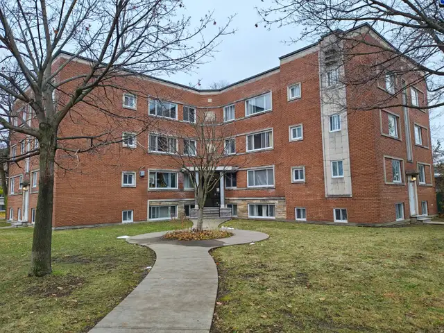 Grand 4 1/2 sur Lakeshore Renovee - Photo 5