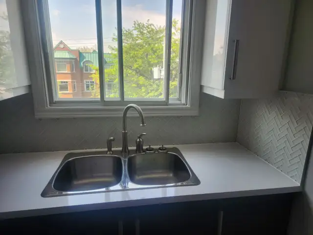 Grand 4 1/2 sur Lakeshore Renovee - Photo 8