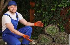 Landscapers needed start immediatly