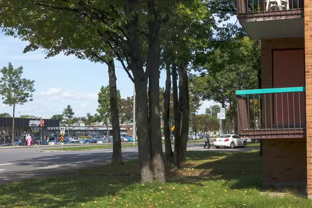 3 1/2 Ste-Foy - Tout inclus - près université - juillet - Photo 9