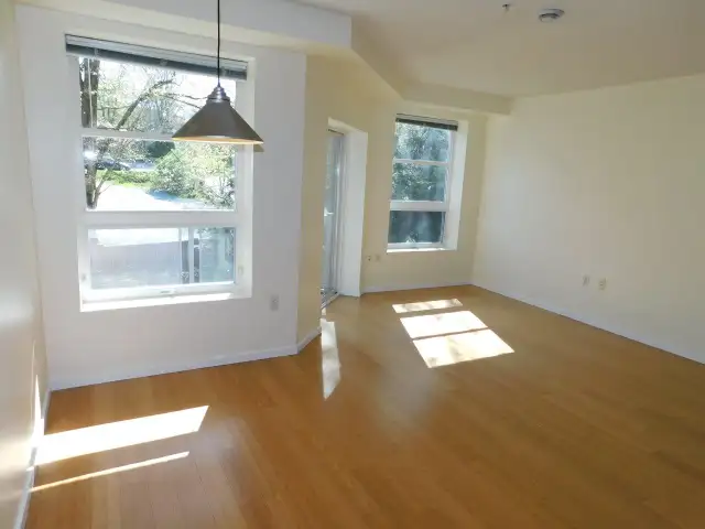 Super HFX Peninsula 1bed/1bath condo - VIDEO TOUR! - Photo 16