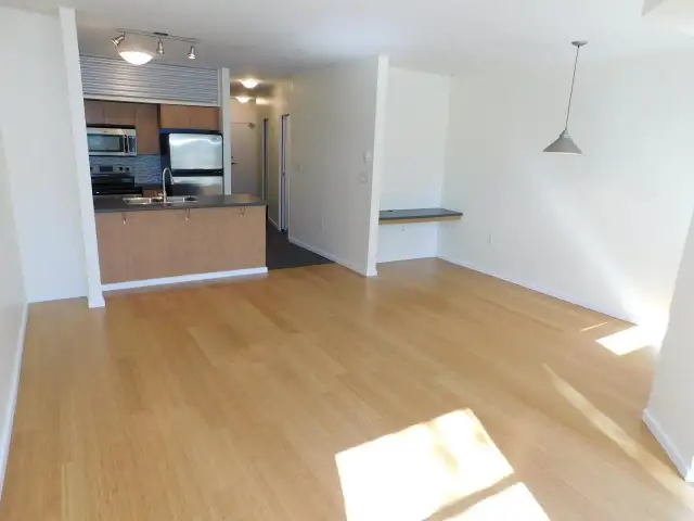 Super HFX Peninsula 1bed/1bath condo - VIDEO TOUR! - Photo 18