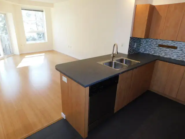 Super HFX Peninsula 1bed/1bath condo - VIDEO TOUR! - Photo 23