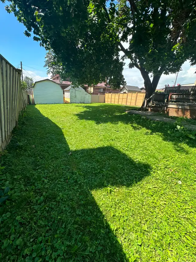 4Br-2Wr House for Rent in Highly Sought Clairlea Neighbourhood - Photo 10