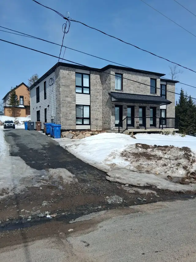 Logement 4 ½ avec un bureau neuf à louer, St-donat-de-Montcalm - Photo 3