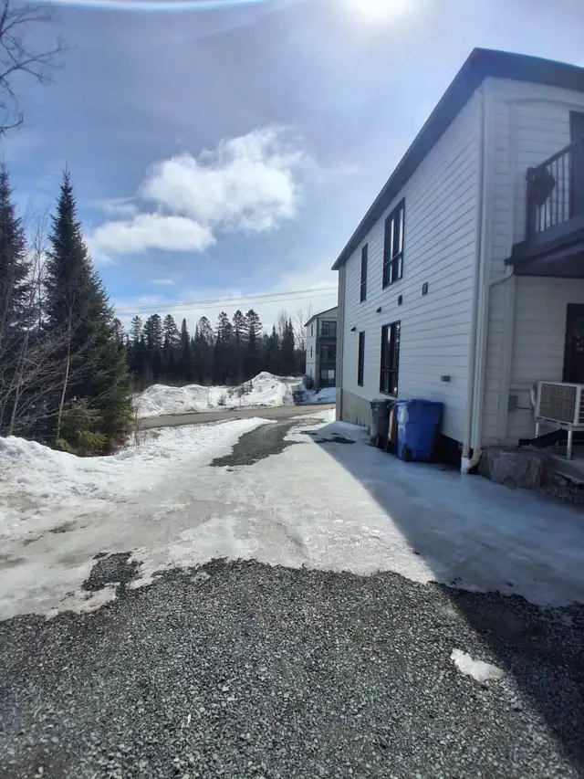 Logement 4 ½ avec un bureau neuf à louer, St-donat-de-Montcalm - Photo 5