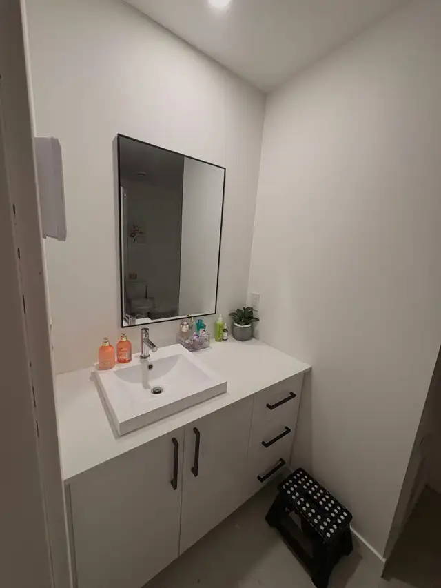 Logement 4 ½ avec un bureau neuf à louer, St-donat-de-Montcalm - Photo 13