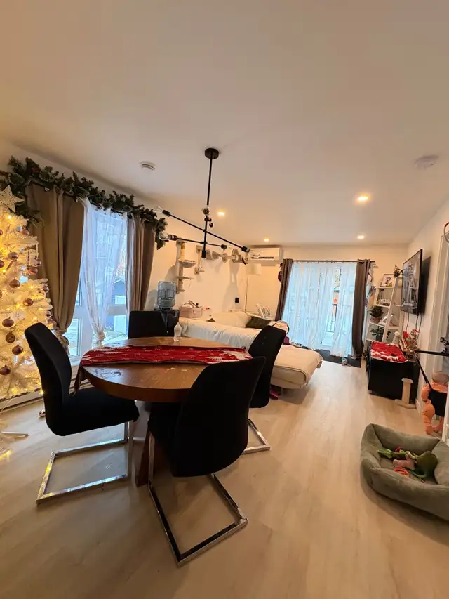 Logement 4 ½ avec un bureau neuf à louer, St-donat-de-Montcalm - Photo 20