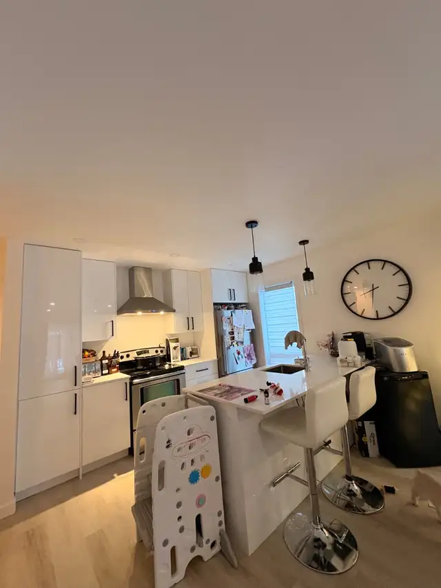 Logement 4 ½ avec un bureau neuf à louer, St-donat-de-Montcalm - Photo 23