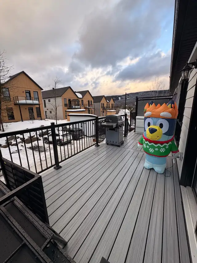 Logement 4 ½ avec un bureau neuf à louer, St-donat-de-Montcalm - Photo 26