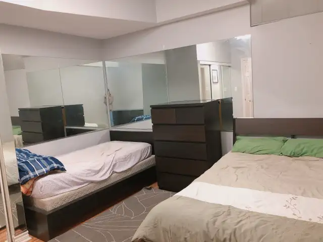 Cozy and clean private unit for rent (1 1, Sheppard area) - Photo 3