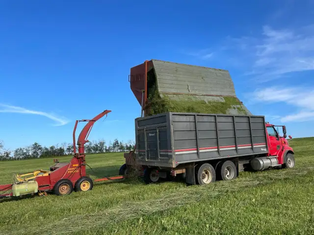 Wanted: Farm Hand - Photo 3