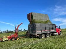 Wanted: Farm Hand - Photo 3