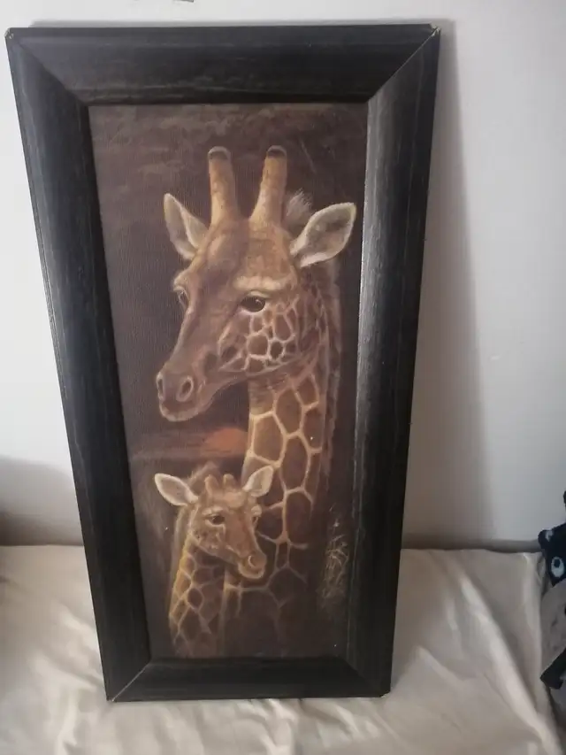 Picture of a giraffe