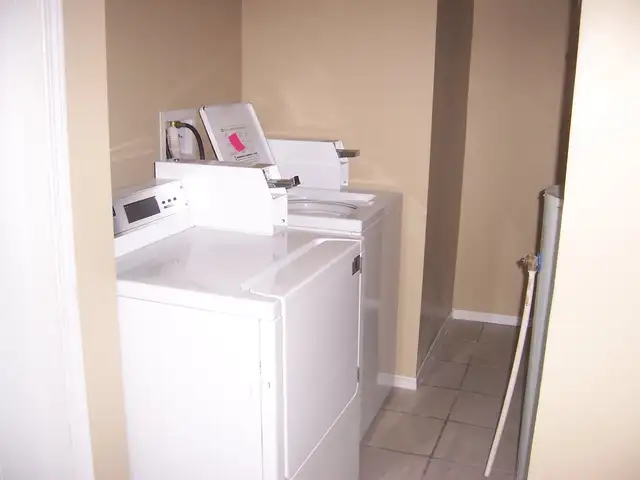 Main floor two bedroom house - Photo 7