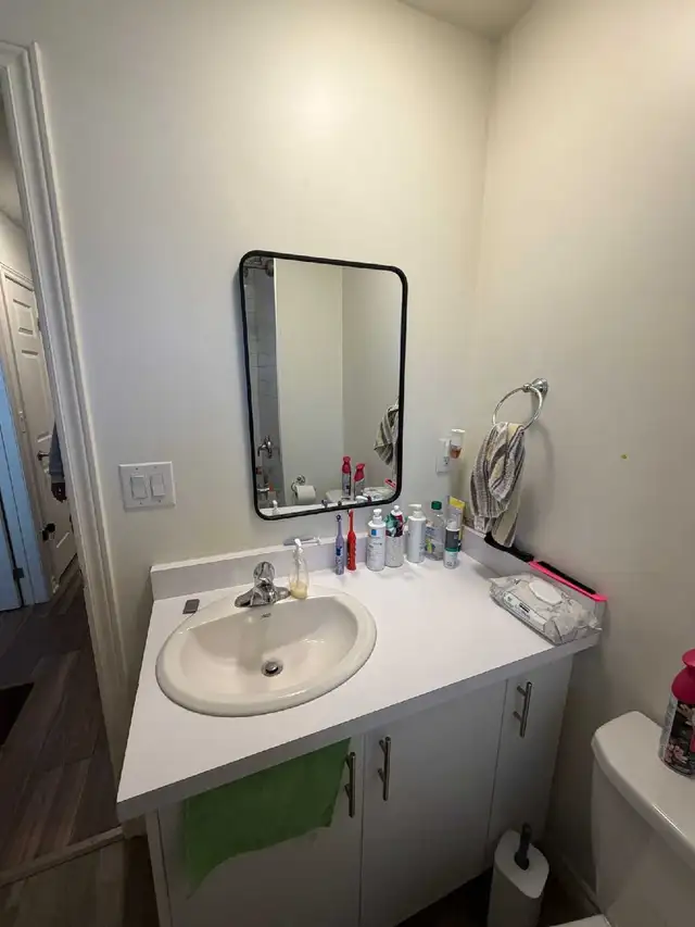 ENTIRE 3 BEDROOM HOUSE RENTAL IN BRAMPTON / Mississauga. - Photo 6