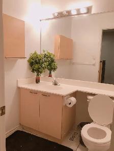 Private Master Room (Female house) Sheppard Area, May 1 - Photo 3