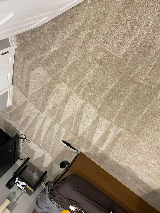 THE FRESH HOME CARPET_RUGS AND COUCH_CLEAnING - Photo 3