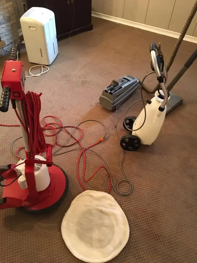 THE FRESH HOME CARPET_RUGS AND COUCH_CLEAnING - Photo 4