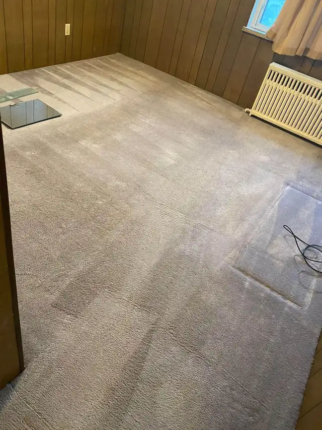 Best Professional Home Carpet_Rug And Couch Cleaning - Photo 2