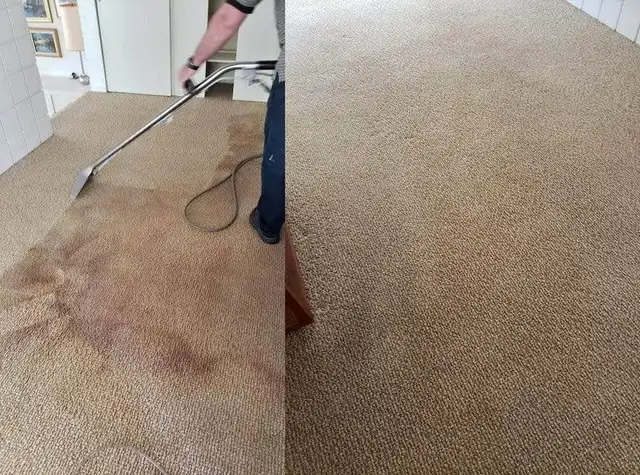 The fresh home carpet,rugs and couch, upholstery_cleaning - Photo 3