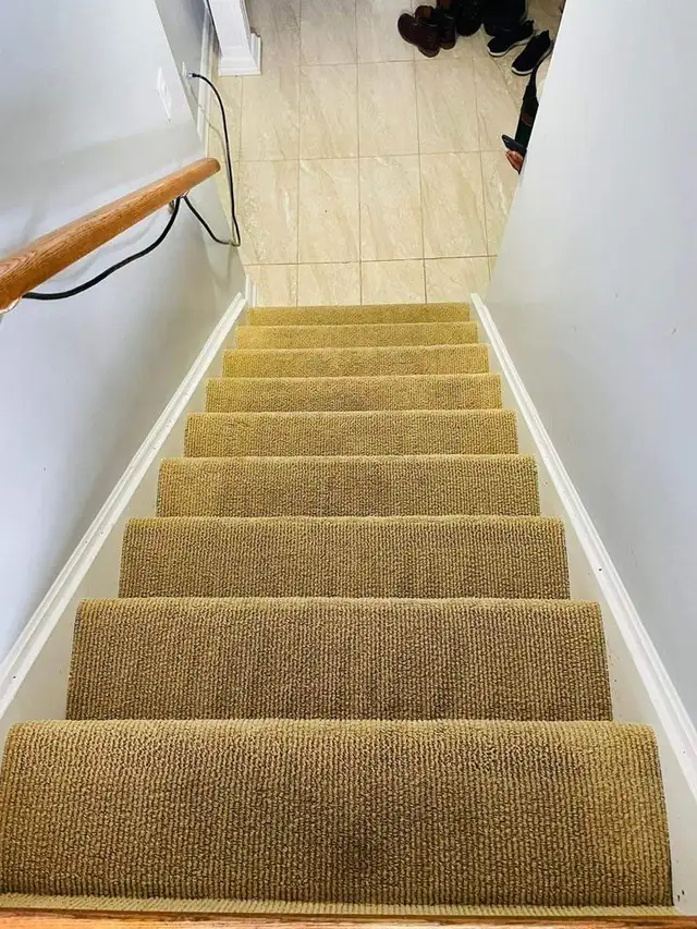 The fresh home carpet,rugs and couch, upholstery_cleaning - Photo 5