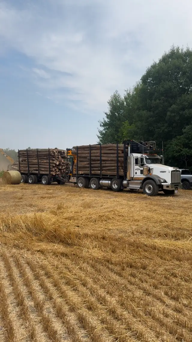 Firewood Logs For Sale