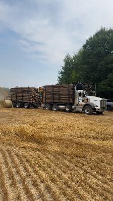 Firewood Logs For Sale