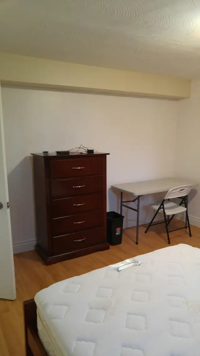 Spacious Bright Room - Near Sheppard W. Subway in North York. - Photo 3