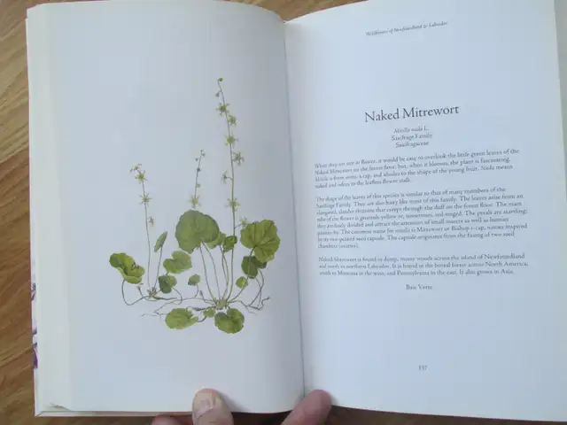 WILDFLOWERS OF NL AND LABRADOR by P. Scott and D. Black - 2008 S - Photo 7