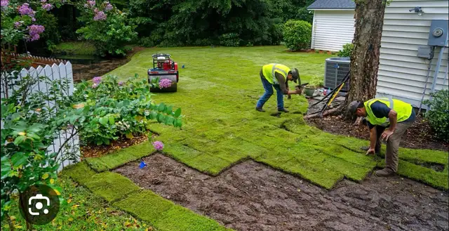 Spring Sod Installation Deals | Fresh Lawn Starting Today! - Photo 4