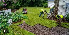 Spring Sod Installation Deals | Fresh Lawn Starting Today! - Photo 4