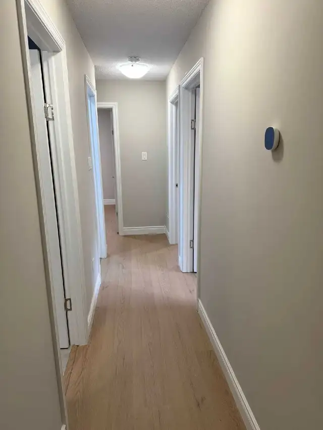 Renovated 3-Bedroom Main Floor Prime South - Photo 5