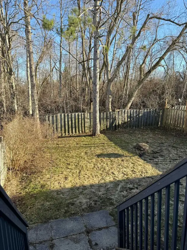 Renovated 3-Bedroom Main Floor Prime South - Photo 8