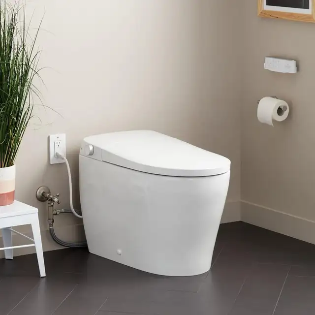 smart Toilet Installation