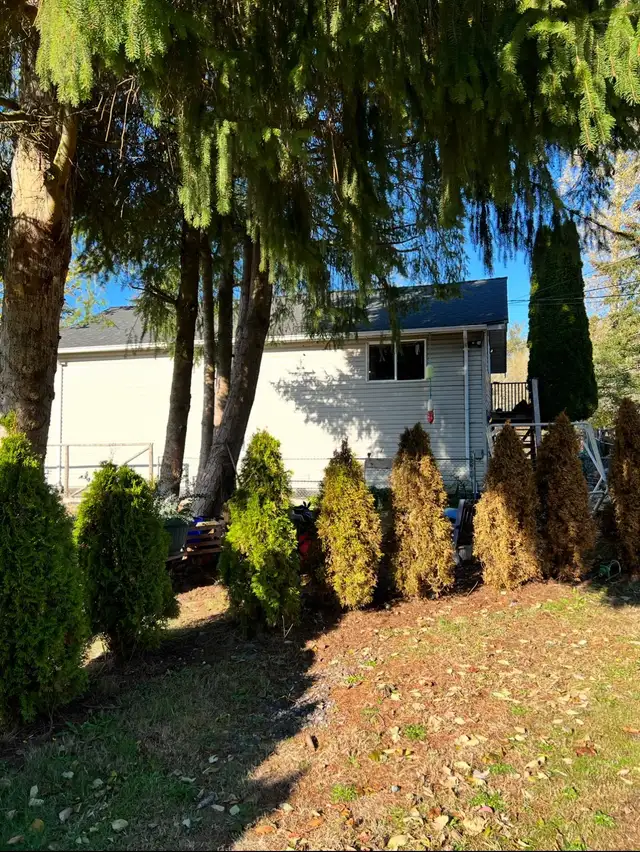 House for Rent South Surrey-Grandview Heights