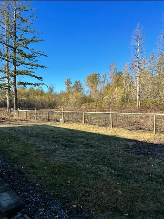 House for Rent South Surrey-Grandview Heights - Photo 3