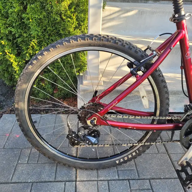 Norco Plateau step-through Mountain bike - Photo 4