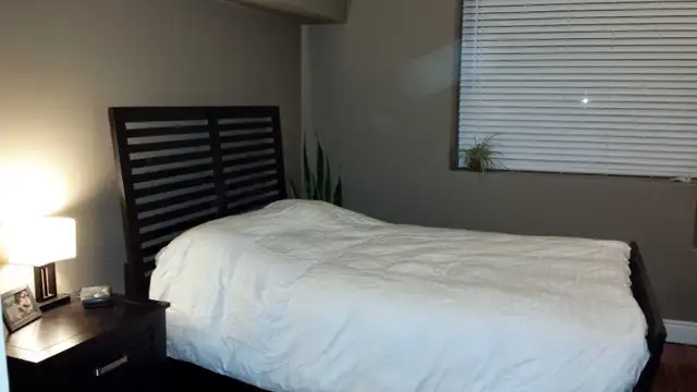 Downtown 2 Bedroom Condo, 695 Richmond, for Rent - Photo 4