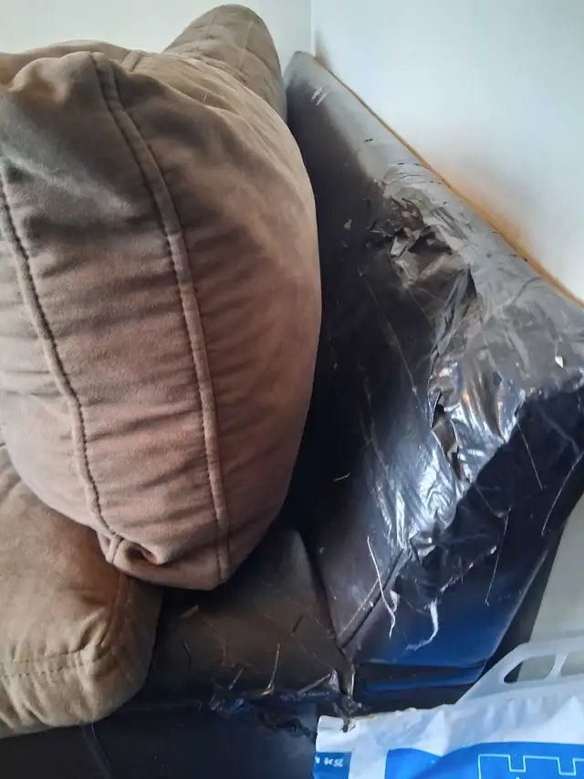 Free Couch Set - Photo 4