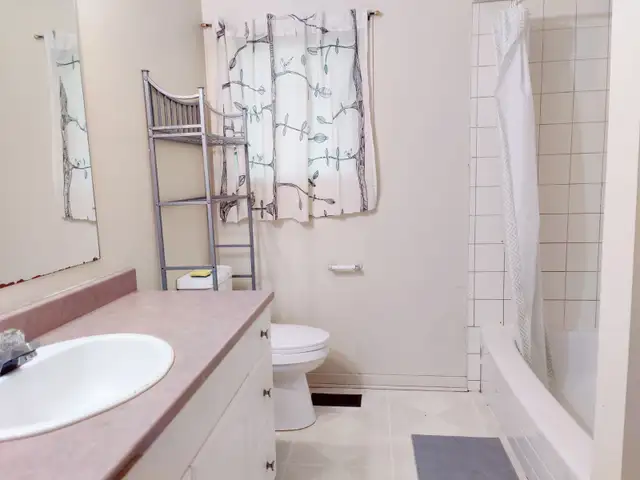 Large Basement Private Room near Carleton/Algonquin - Jun 1st - Photo 8