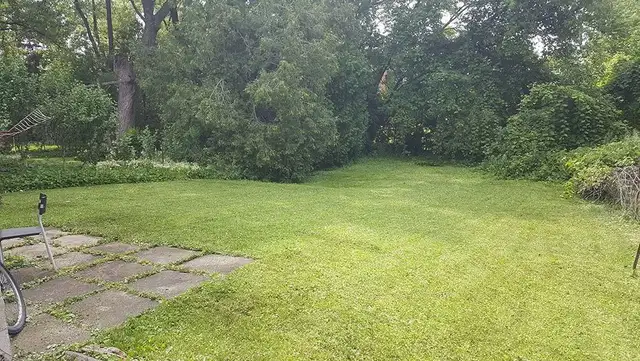 Room for Rent Near MacMaster University - Photo 5