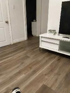 companionship in mississauga