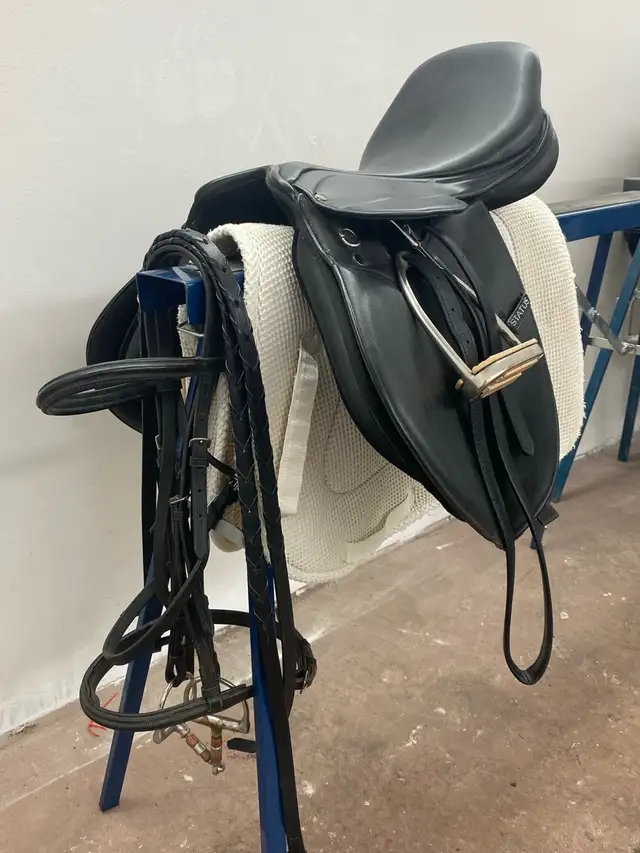 16" Status all purpose English saddle