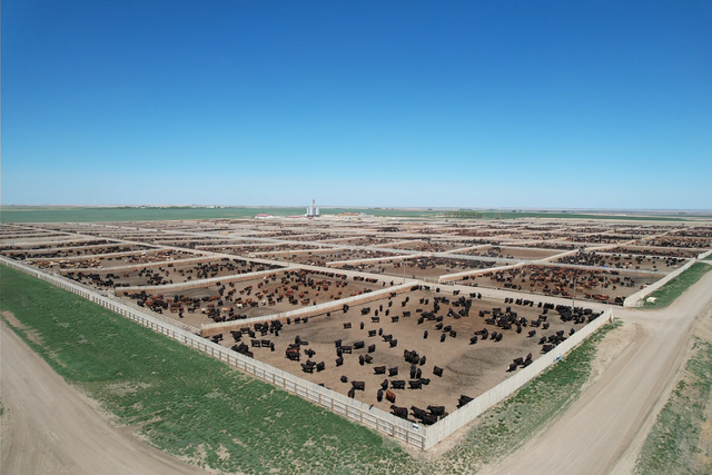 Feed Truck Operator (Feedlot) - Photo 2