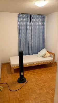 UTSC private room for rent