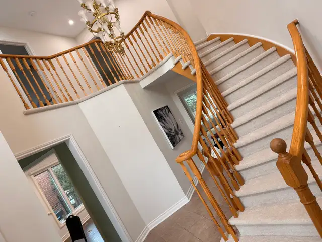 Professional Carpet Installation & Repair- Carpet installation (