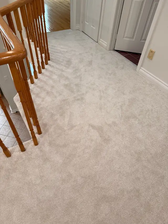 Professional Carpet Installation & Repair- Carpet installation ( - Photo 2