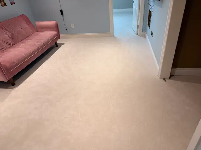 Professional Carpet Installation & Repair- Carpet installation ( - Photo 3