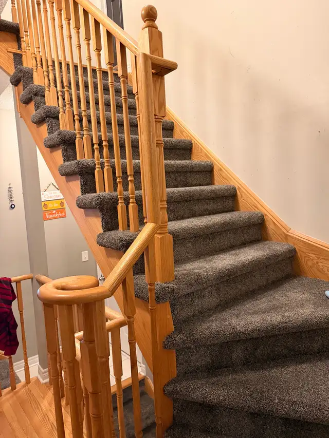 Professional Carpet Installation & Repair- Carpet installation ( - Photo 4